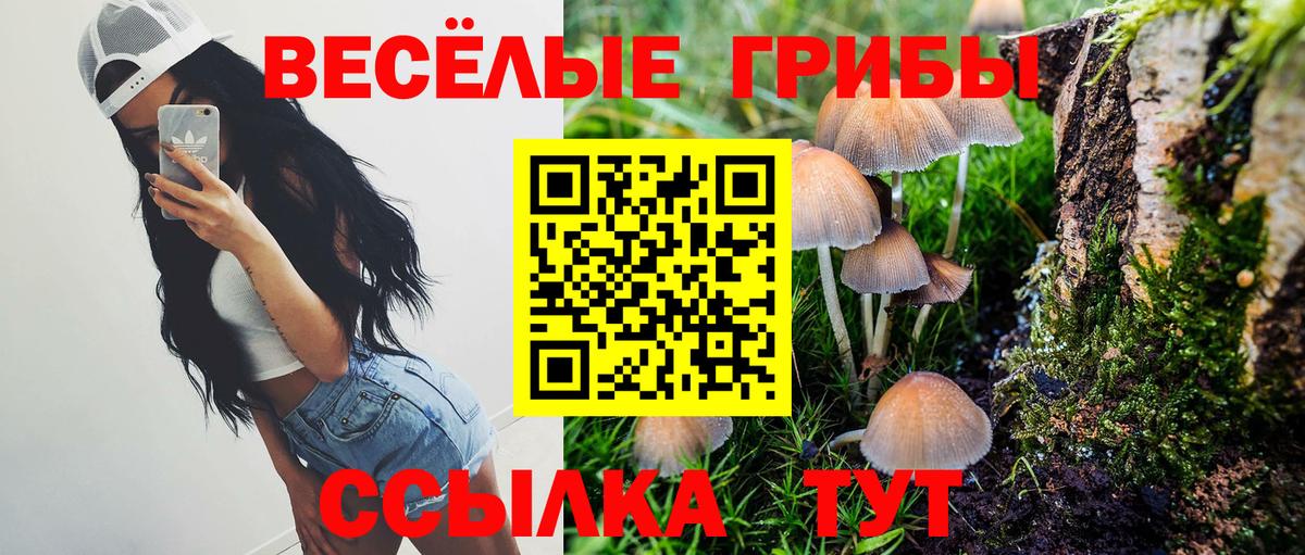 Псилоцибиновые грибы MAGIC MUSHROOMS  Псилоцибиновые грибы ЛСД  закладки  Усть-Илимск  Вход с VPN 